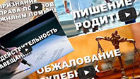 видео консультации адвокатов, решения суда в Санкт-Петербурге